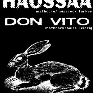 haossaaPoster020911