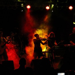 fauns