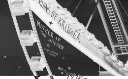 ruinskugel (1)