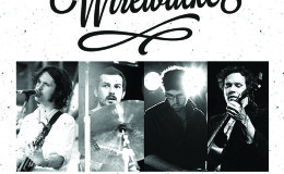 wirewalkerwebversion